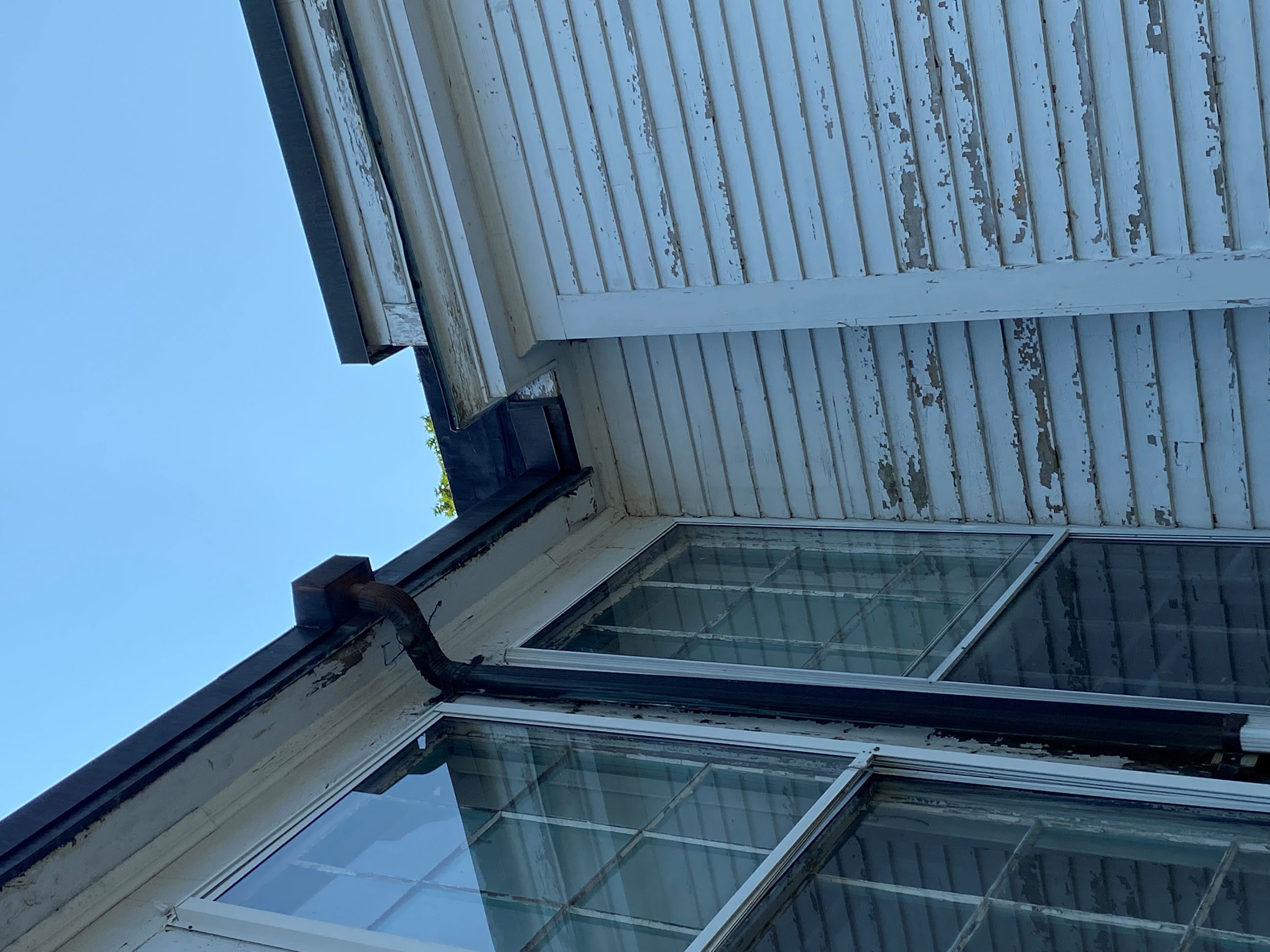 20210727_145010992_iOS