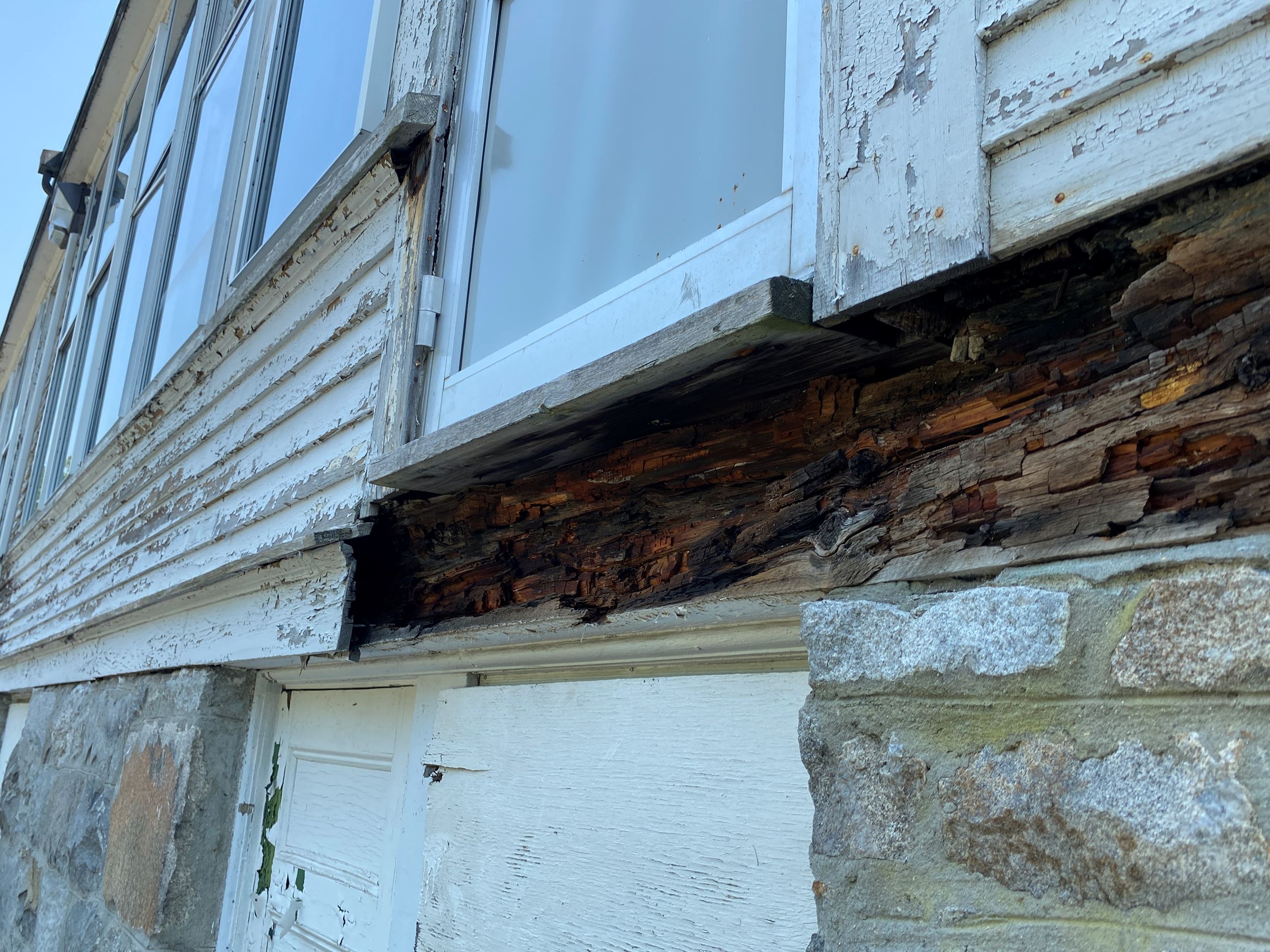 20210727_145031409_iOS